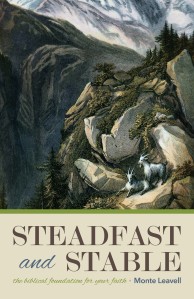 Steadfast_and_Stable[1]